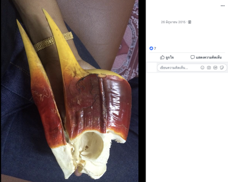 A Thai Facebook post advertising a hornbill head